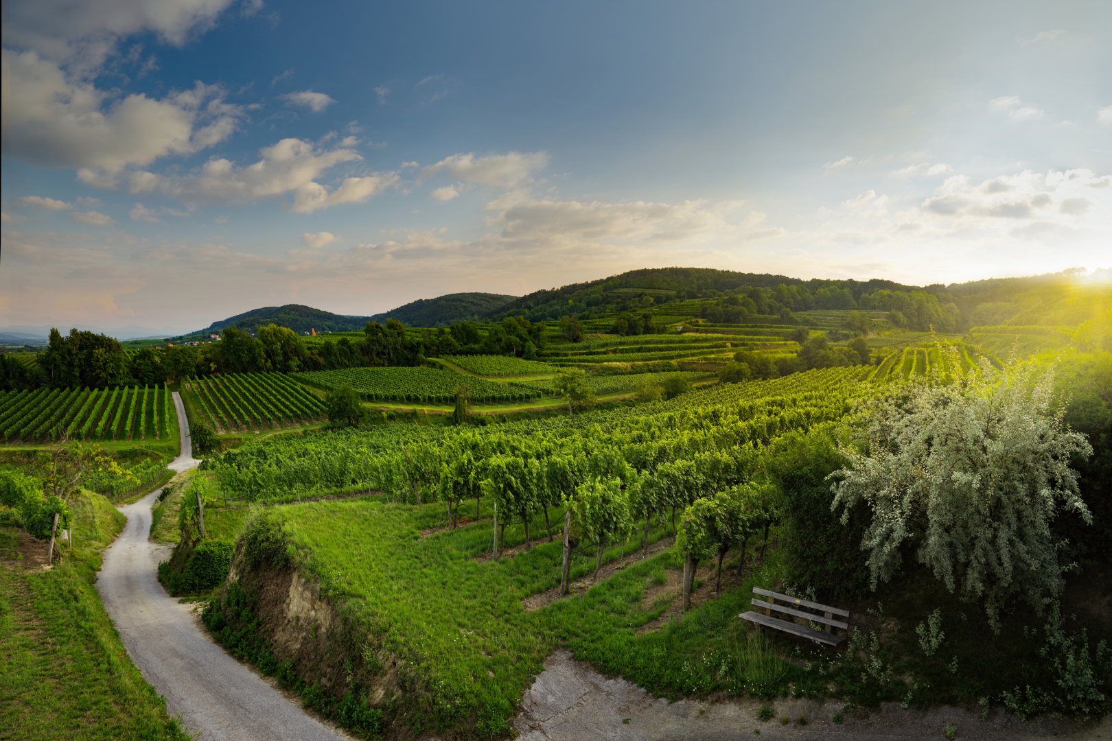 Niederösterreich QW