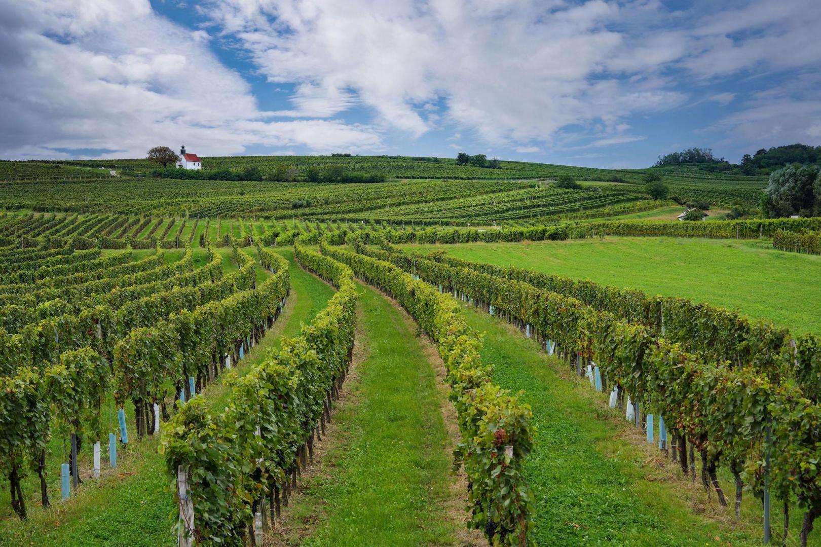 Mittelburgenland DAC