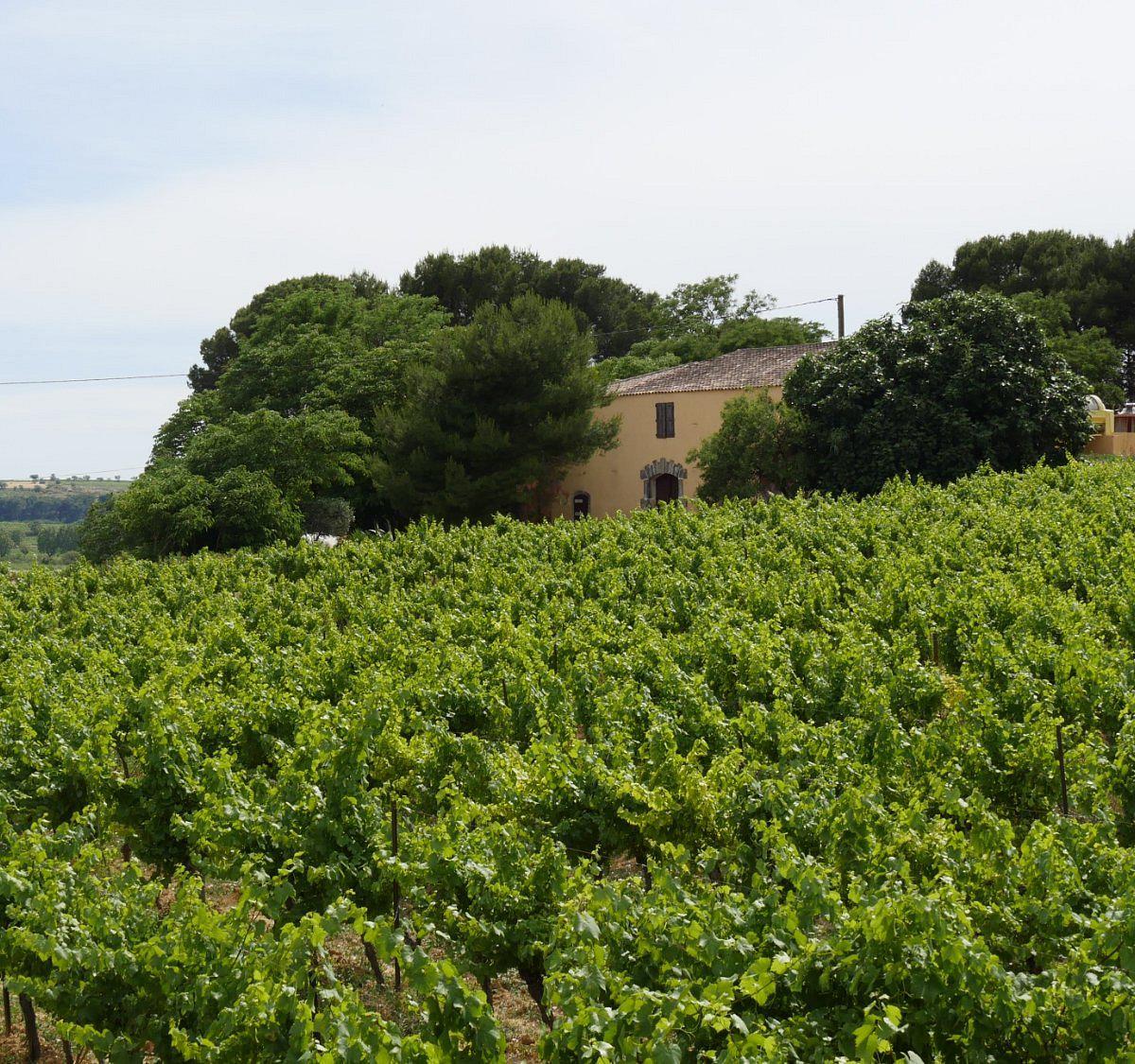Domaine de Mairan