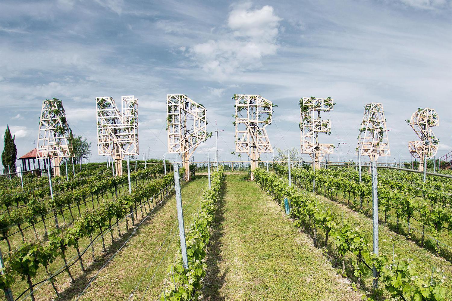 Weingut Scheiblhofer