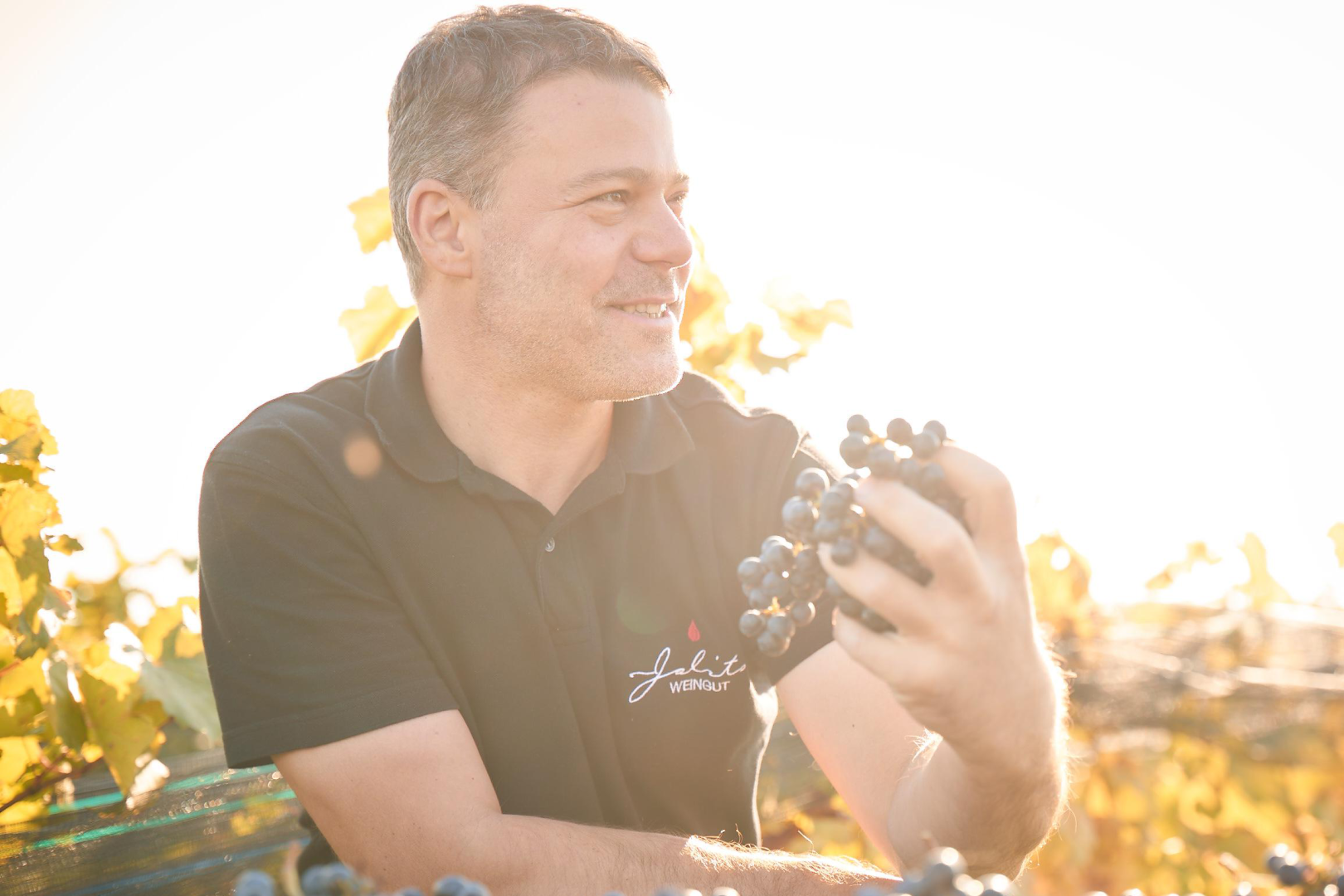 Weinbau Mathias Jalits