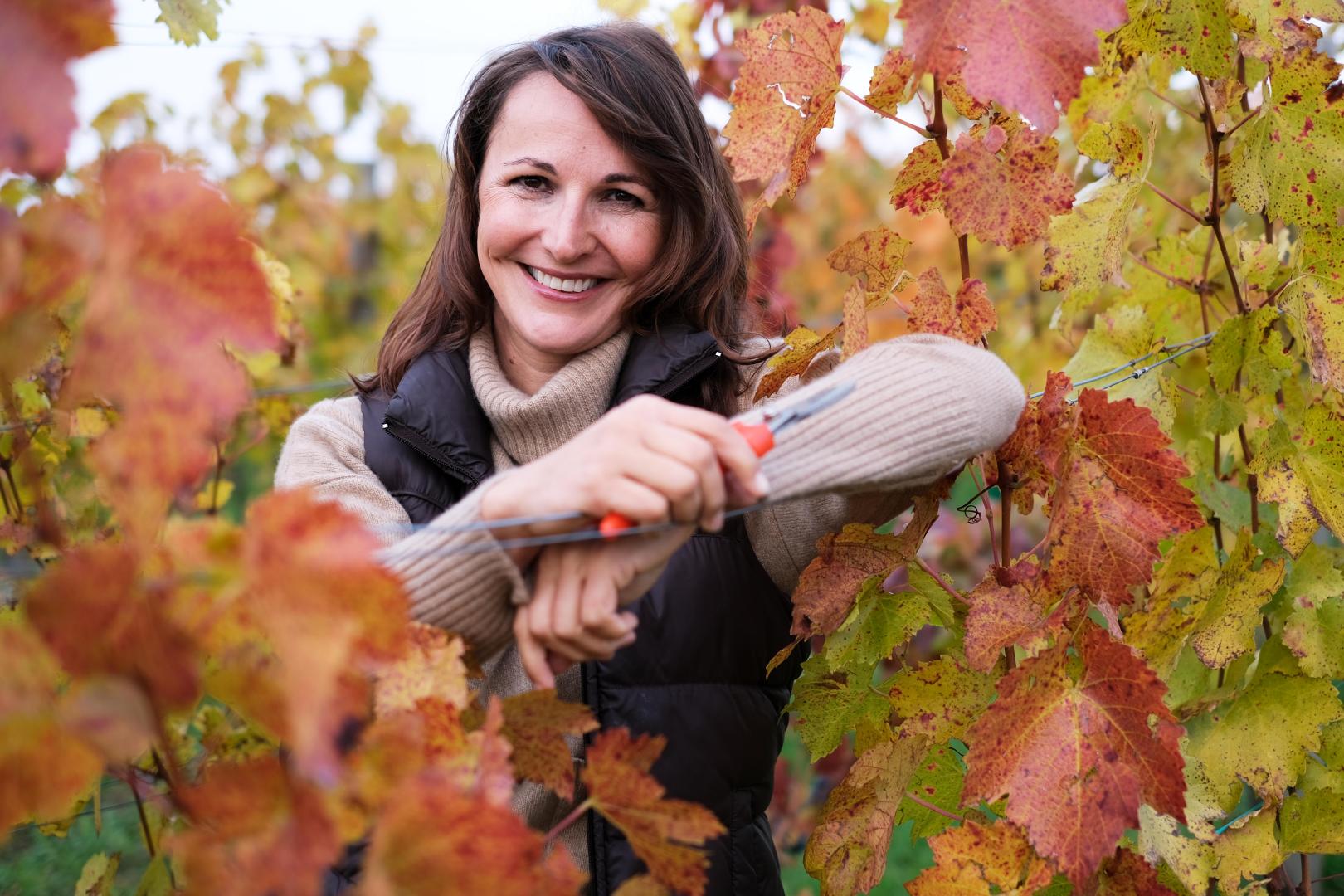 Weingut Silvia Heinrich